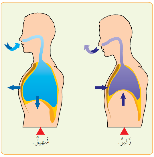اضغط على الصورة لعرض أكبر.   الإسم:	dataurl426836.png  مشاهدات:	1  الحجم:	44.4 كيلوبايت  الهوية:	4583