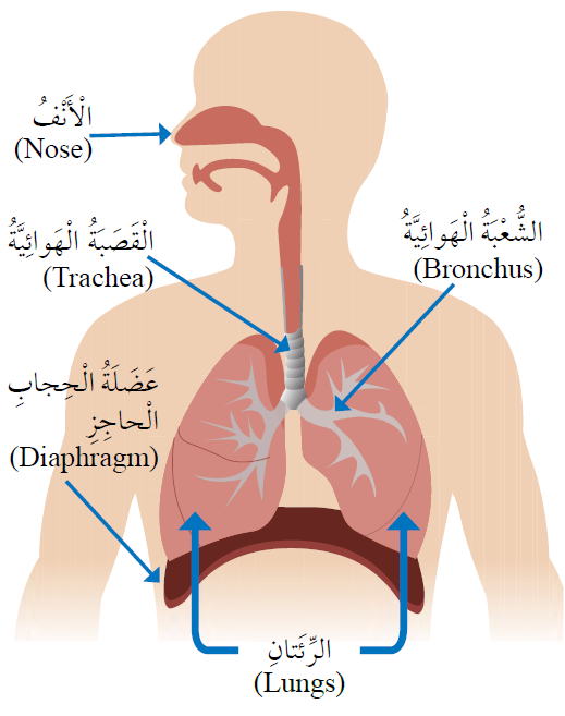 اضغط على الصورة لعرض أكبر.   الإسم:	dataurl426841.png  مشاهدات:	1  الحجم:	81.0 كيلوبايت  الهوية:	4584