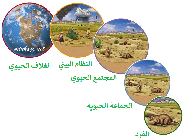 اضغط على الصورة لعرض أكبر. 

الإسم:	dataurl133790.png 
مشاهدات:	5081 
الحجم:	298.0 كيلوبايت 
الهوية:	5028