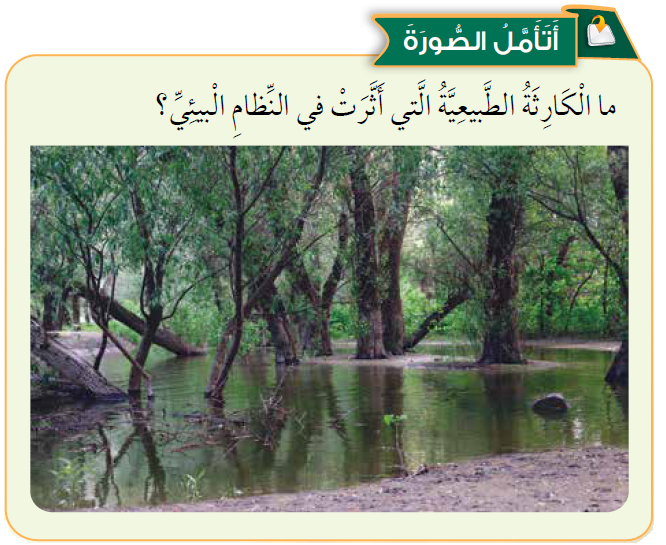 اضغط على الصورة لعرض أكبر. 

الإسم:	dataurl133793.png 
مشاهدات:	1231 
الحجم:	453.3 كيلوبايت 
الهوية:	5031