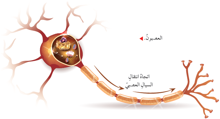 اضغط على الصورة لعرض أكبر. 

الإسم:	dataurl744630.png 
مشاهدات:	1049 
الحجم:	96.3 كيلوبايت 
الهوية:	5041