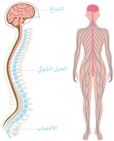 اضغط على الصورة لعرض أكبر. 

الإسم:	dataurl744638.png 
مشاهدات:	1337 
الحجم:	267.2 كيلوبايت 
الهوية:	5043